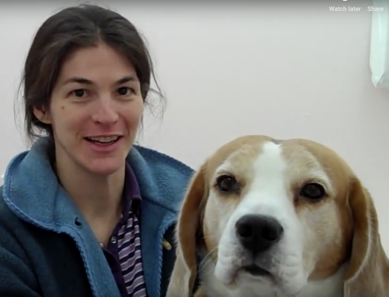  Cabinet Vétérinaire International,Geneva Veterinarian, veterinarian Geneva, smuggle with owner