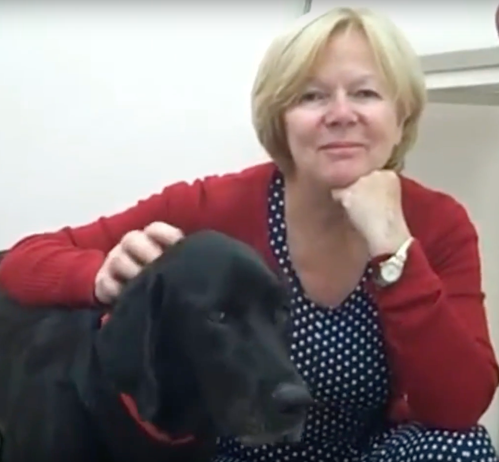  Cabinet Vétérinaire International,Geneva Veterinarian, veterinarian Geneva, cabinet vétérinaire international