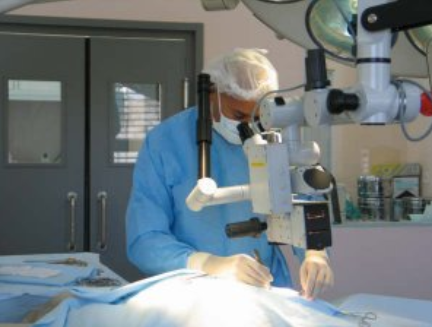  Cabinet Vétérinaire International, Geneva Veterinarian, veterinarian Geneva